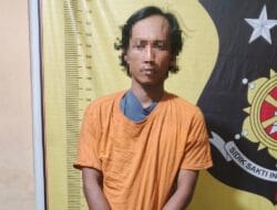 Bawa Ganja, Rio Dibekuk Polisi di Perkebunan Sawit PTPN IV Panai Jaya
