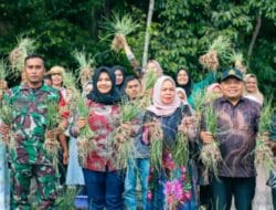 Wabup Madina Ajak Masyarakat Manfaatkan Pekarangan untuk Tanam Sayur