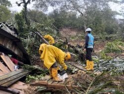 Ratusan Petugas Dikerahkan, PLN Sumut Perkuat Siaga Kelistrikan Akibat Cuaca Ekstrem