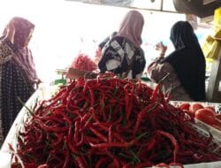 Cabai dari Aceh Serbu Medan, Harga Anjlok