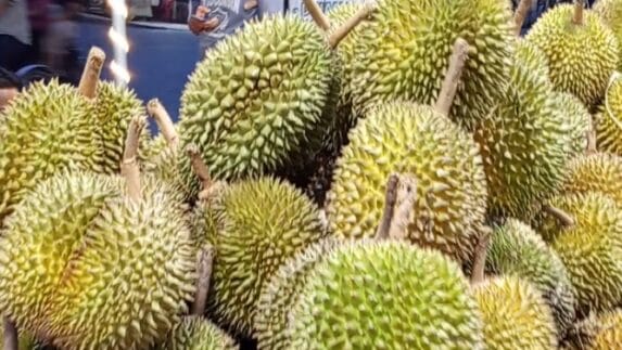 Indonesia Ekspor 48 Ton Durian Beku ke China