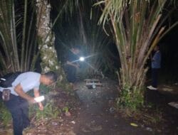 Respon Cepat, Polsek Bilah Hulu Grebek Sarang Narkoba di Sigambal