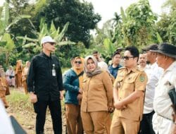 Wabup Madina Dampingi Sekjen Kementan Tinjau Sawah Terdampak Banjir
