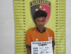 Miliki Sabu, Warga Riau Diringkus Polsek Na IX-X Polres Labuhanbatu