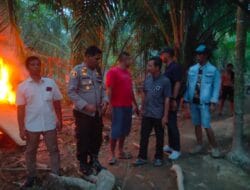 Sat Narkoba Polres Langkat dan Aparat Desa Bakar Gubuk Diduga Barak Narkoba