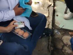 Menu MBG Telur Mentah di Langkat Tuai Sorotan
