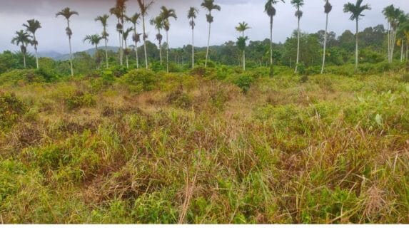 Soal Persawahan Terlantar, Sekretaris Komisi II DPRK Abdya Minta Dinas Peka