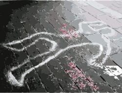 Terungkap, Ternyata Ini Motif Bocah SD Diduga Bunuh Ibu Kandung di Medan