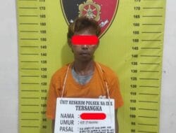 Pengedar Sabu di Aek Kota Batu Labura Diamankan Polsek Na IX-X