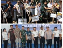 Tunjukkan Hasil Pembinaan, Lapas Kelas IIB Blangpidie Panen Singkong