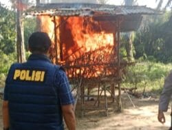 Polsek Bilah Hulu Bakar Gubuk Sarang Narkoba di Desa Tanjung Siram Labuhanbatu