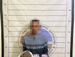 Satresnarkoba Polres Aceh Selatan Tangkap Pengedar Ganja