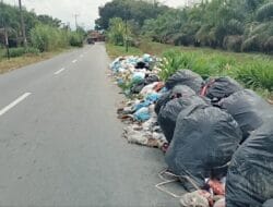 Sebulan Lebih tak Kunjung Diangkut, Camat Hinai: Itu Sampah Liar