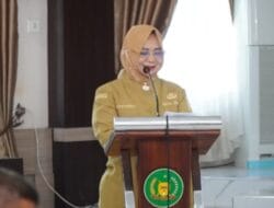 Wakil Bupati Buka Workshop Integrasi Data Program Sehati Bunda