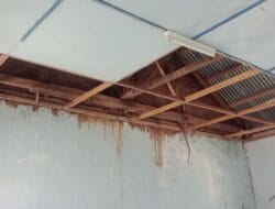 SDN 1 Ie Dingen Meukek Bocor, Atap Lapuk dan Pustaka Plafon Runtuh