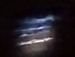 Kemunculan Anak Buaya di Pantai Padang Kawa Gegerkan Warga