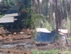 Terkesan Kebal Hukum, Dapur Olahan Minyak di Gebang Berlangsung Terbuka