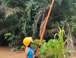 UP3 Sibolga Bergerak Cepat Lakukan Pemulihan Listrik Pascabanjir dan Longsor di Tapteng dan Humbahas