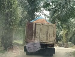 Aktivitas Galian C Tanah Urug Diduga Ilegal Marak di Wampu