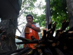 Rotan Muda Bakar Santapan Berbuka Puasa Khas Mandailing yang Legendaris