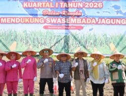 Polres dan Pemkab Madina Tanam Jagung Serentak Kuartal I Tahun 2026
