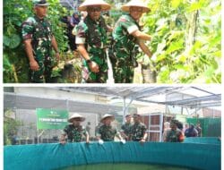Sulap Pekarangan Jadi Lahan Ketahanan Pangan Terpadu, Kasdam IM Berikan Apresiasi ke Dandim Abdya