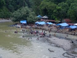 Wisata Tangkahan Dipadati Pengunjung di Akhir Libur Lebaran 2026