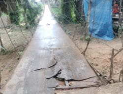 Negara Seolah Absen ! 2000 Jiwa di Ranto Panjang Terisolasi, Jalan Hancur dan Jembatan Gantung Menunggu Korban
