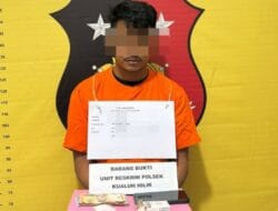 Polsek Kulauh Hilir Ringkus Penjual Sabu di Desa Simandulang Labura