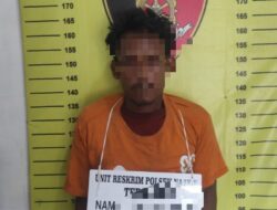 Miliki Sabu 1,76 Gram, Ginot Diamankan Polsek Na IX-X