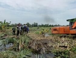 Satgas PKH Tertibkan 300 Hektare Lahan Sawit Ilegal di Beberapa Kawasan di Langkat