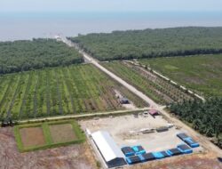 Oknum Kapolsek di Langkat Diduga Kuasai Belasan Hektare Kebun Sawit di Hutan Lindung