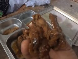 Formapera Sorot Dugaan Intervensi Hapus Video Viral MBG di Langkat