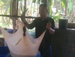 Kegembiraan Pengusaha Tahu Pemasok Bahan ke MBG