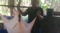 Kegembiraan Pengusaha Tahu Pemasok Bahan ke MBG