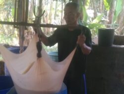 Kegembiraan Pengusaha Tahu Pemasok Bahan ke MBG