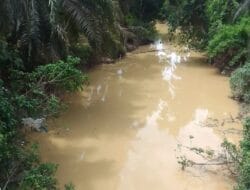 PETI Diduga Beroperasi di Hulu Batang Lobung, Air Tercemar, Warga Menjerit