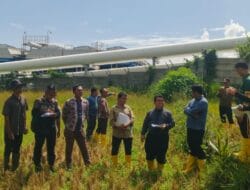 Bantah Pemberitaan Media Online, Kuasa Hukum PT SMGP: Tidak Ada Penurunan Hasil Panen