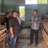 Dorong Ketahanan Pangan dan Ekonomi Warga, Dandim Abdya Kembangkan Ayam Petelur
