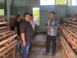 Dorong Ketahanan Pangan dan Ekonomi Warga, Dandim Abdya Kembangkan Ayam Petelur