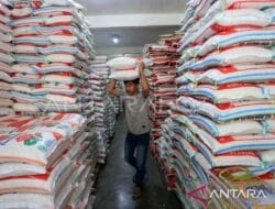 Kemendag: Kenaikan Harga Beras Dipicu Meningkatnya Biaya Distribusi
