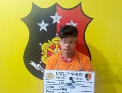 Pengedar Sabu di Desa Sono Martani Labura Diamankan Polisi