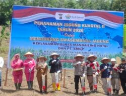 Polres Madina-PT SMGP Tanam Jagung Kuartal II Tahun 2026 di Desa Purba Baru