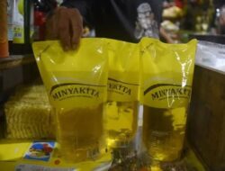 Bobylovers Dorong Pemprov Sumut dan Satgas Pangan Atasi Lonjakan Harga MinyaKita