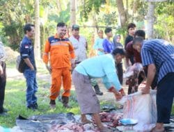 Wujud Kepedulian Sosial, PLN Indonesia Power Sembelih 15 Hewan Kurban