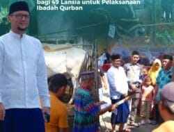 Bupati Labusel Serahkan 7 Ekor Sapi bagi 49 Lansia untuk Ibadah Kurban