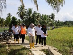 Wabup Atika: Oplah dan Rehabilitasi Sawah di Tangga Bosi III Ditarget Selesai Akhir Mei