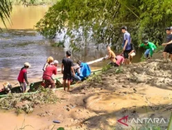Tertimbun Longsor, Sembilan Penambang Ilegal Tewas di Sumbar