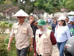 Peringati HUT ke-25, Yayasan Del Tanam 1.000  Pohon Dukung Lingkungan di Toba