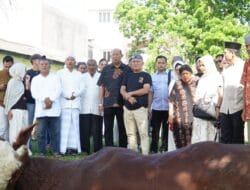 Bupati Langkat Laksanakan Salat Iduladha serta Tinjau Hewan Kurban di Kampung Halaman